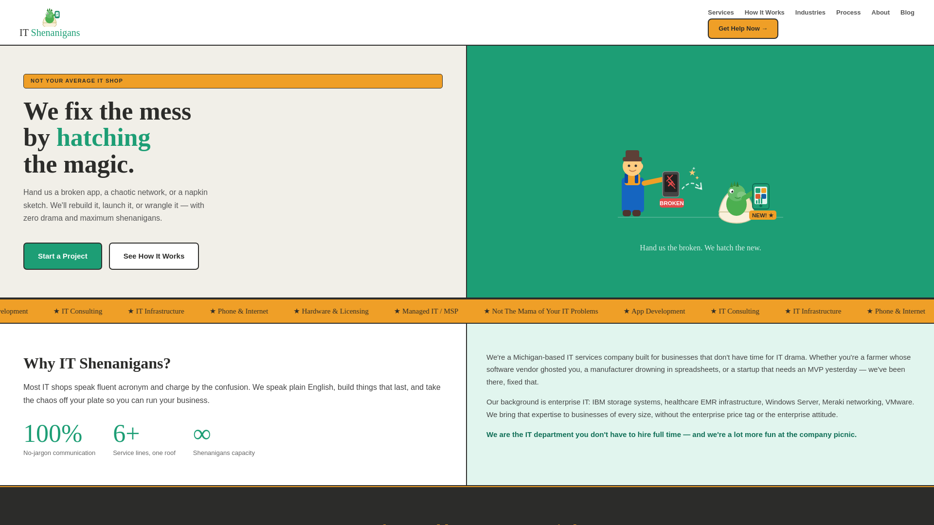 website screenshot of https://itshenanigans.online