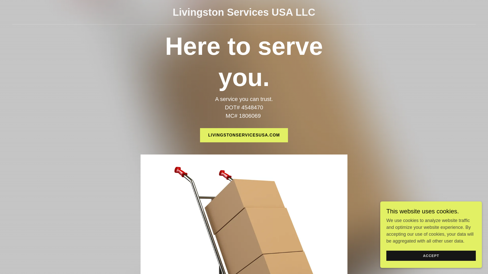 website screenshot of https://livingstonservicesusa.com