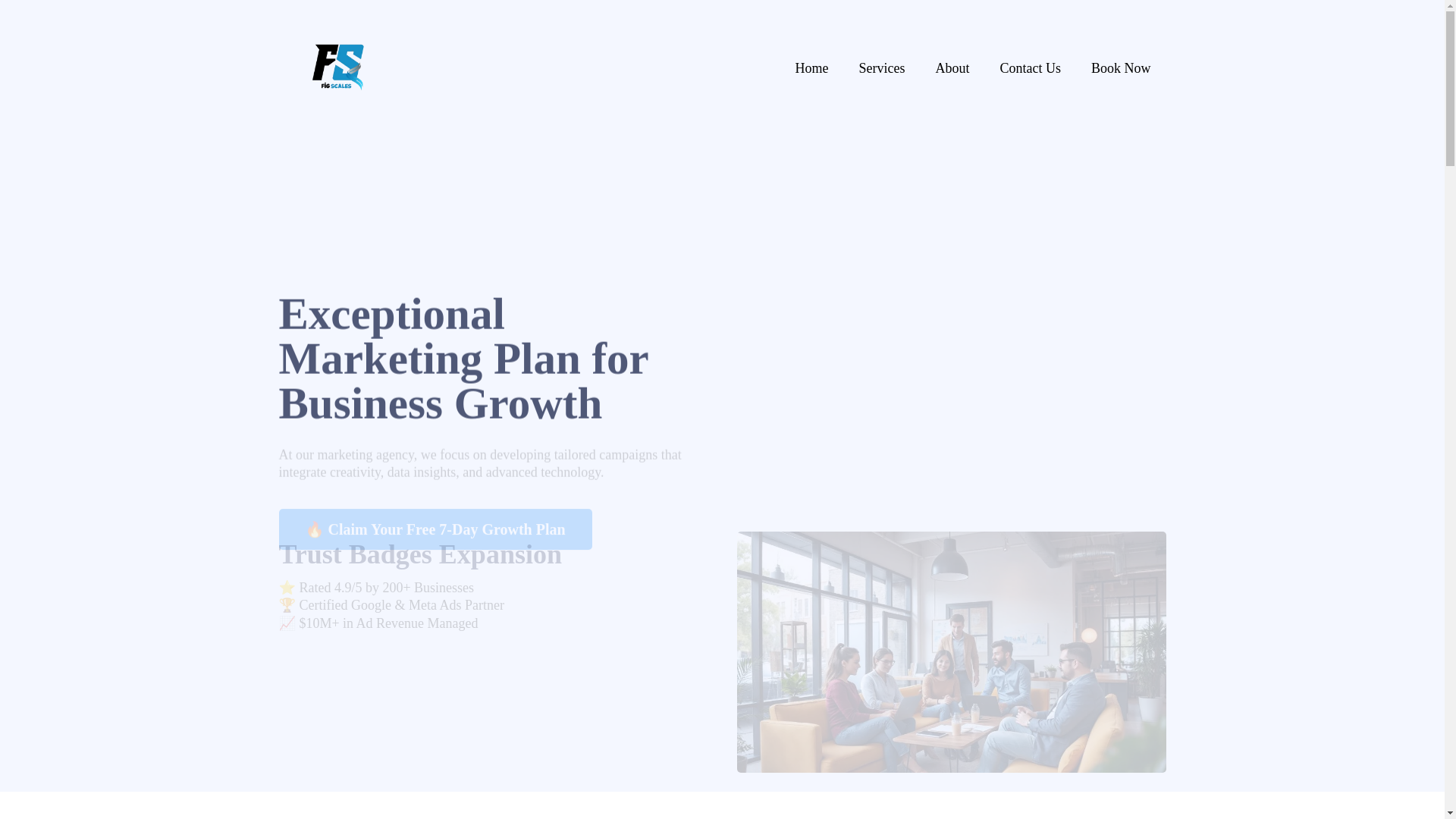 website screenshot of https://figscales.net/