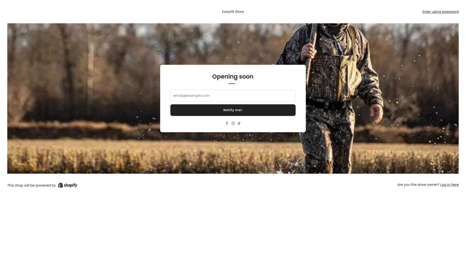 website screenshot of https://easyhitstore.com/
