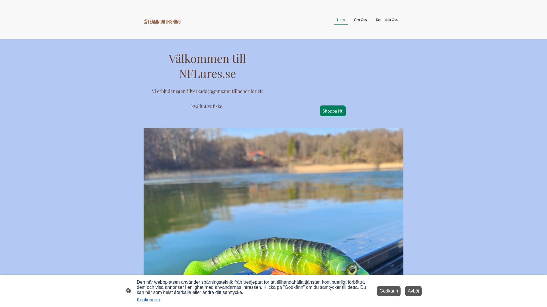 website screenshot of https://nflures.se