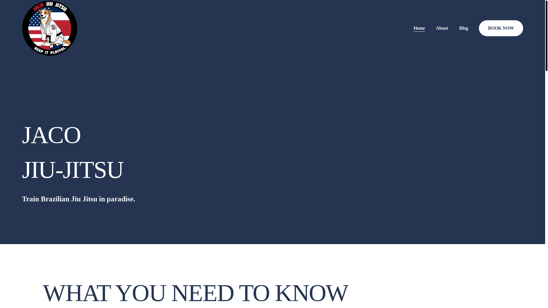 website screenshot of https://jiujitsuincostarica.com/