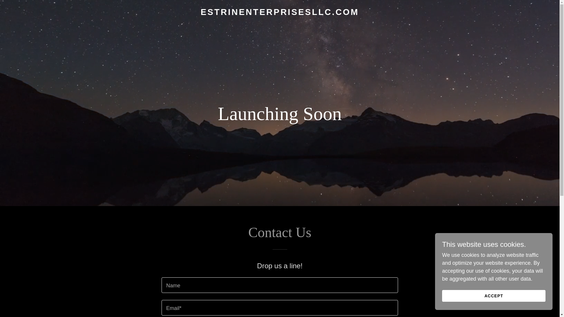 website screenshot of https://estrinenterprisesllc.com/