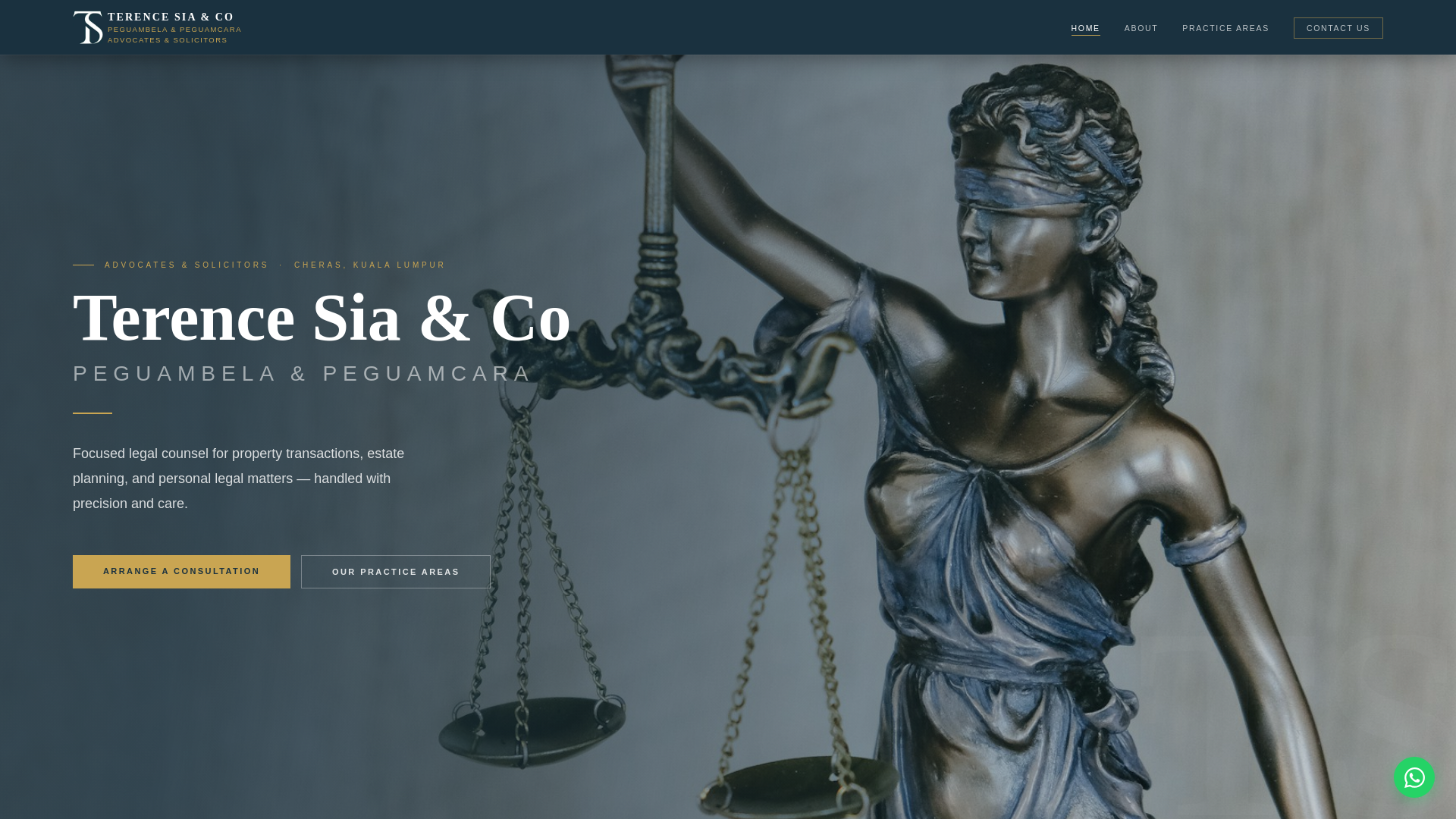 website screenshot of https://terencesiaco.com