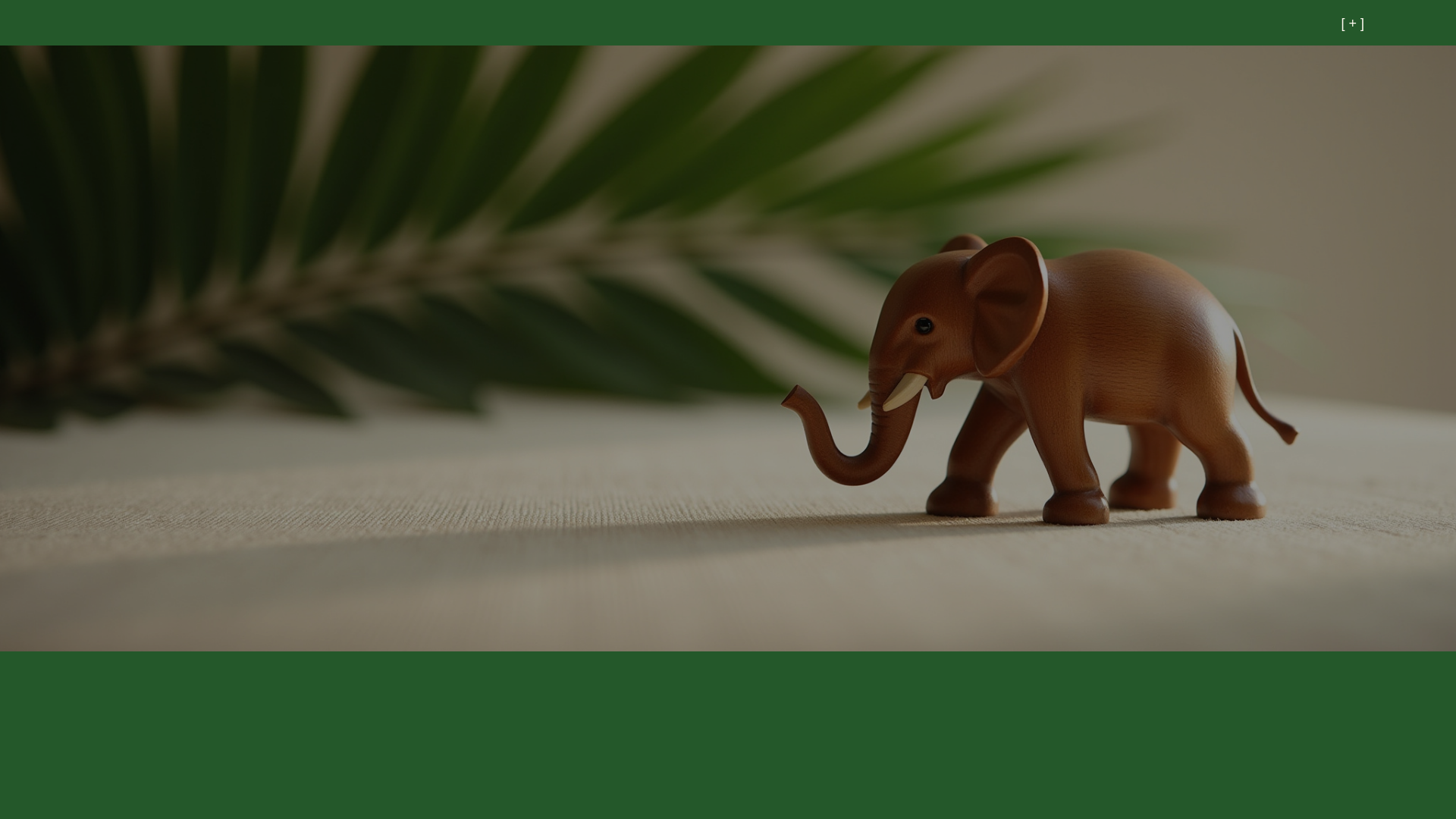 website screenshot of https://craftedinlaos.com