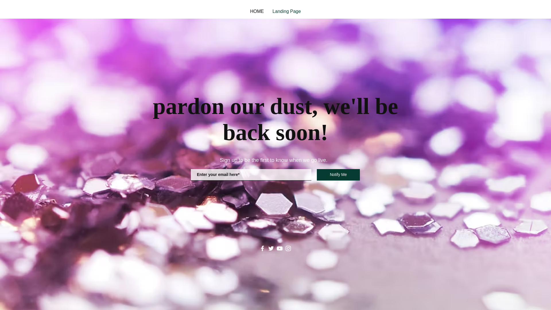 website screenshot of https://lonnieelico.com/