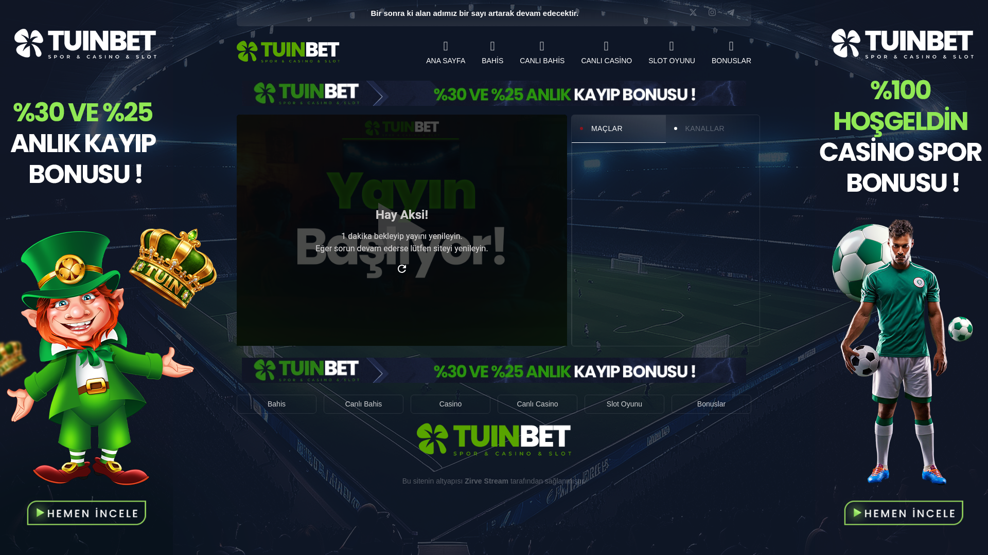 website screenshot of https://tuinbettv1.com/