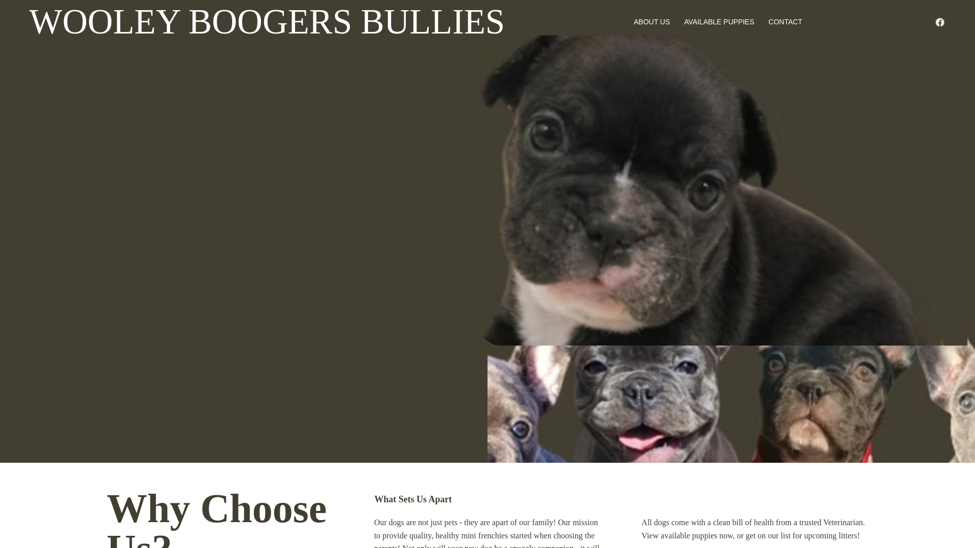 website screenshot of https://wooleyboogersbullies.com/