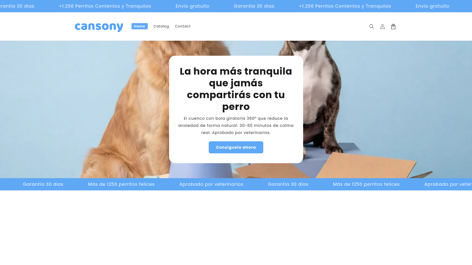 website screenshot of https://cansony.com/