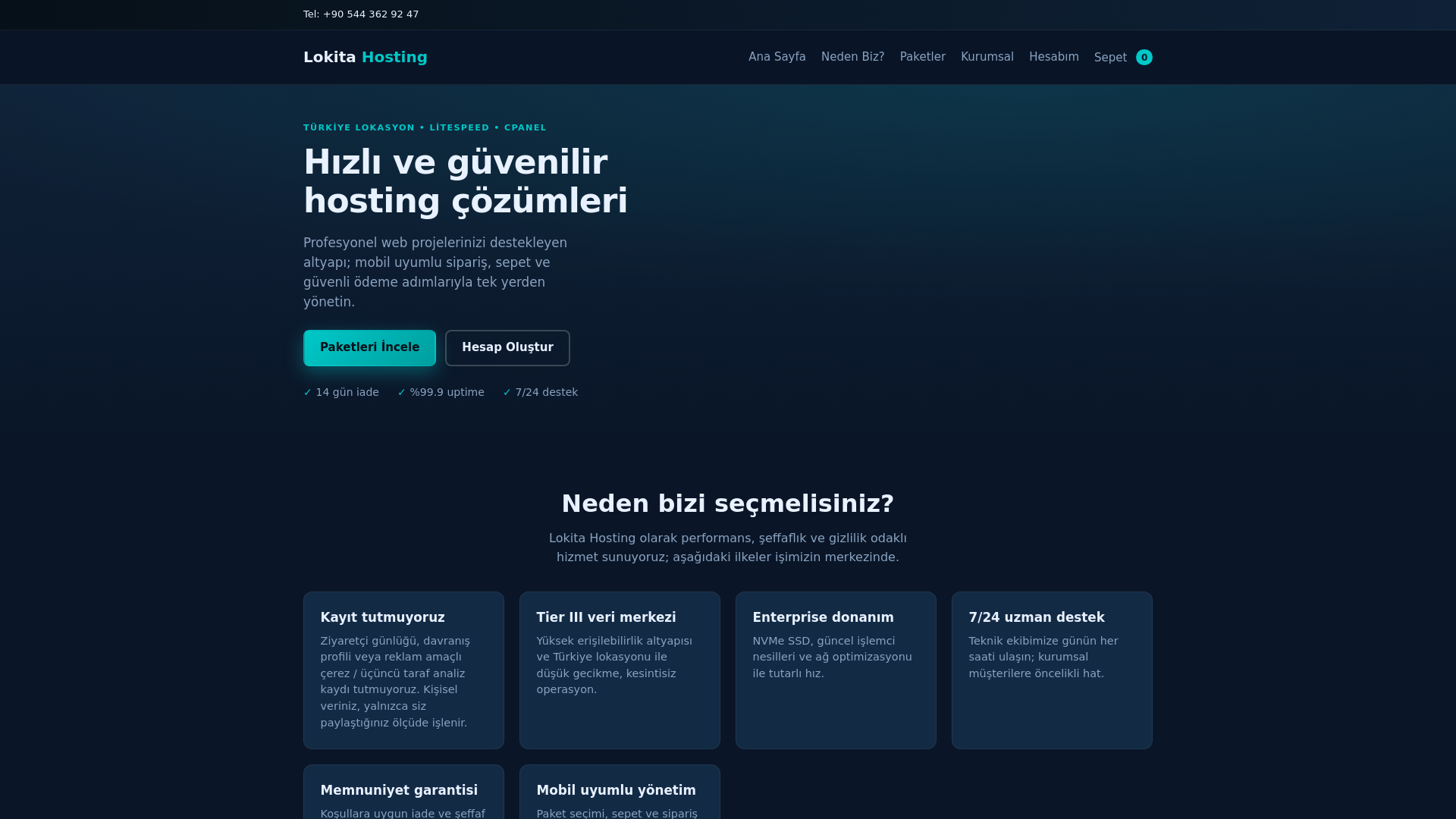 website screenshot of https://lokitahosting.com