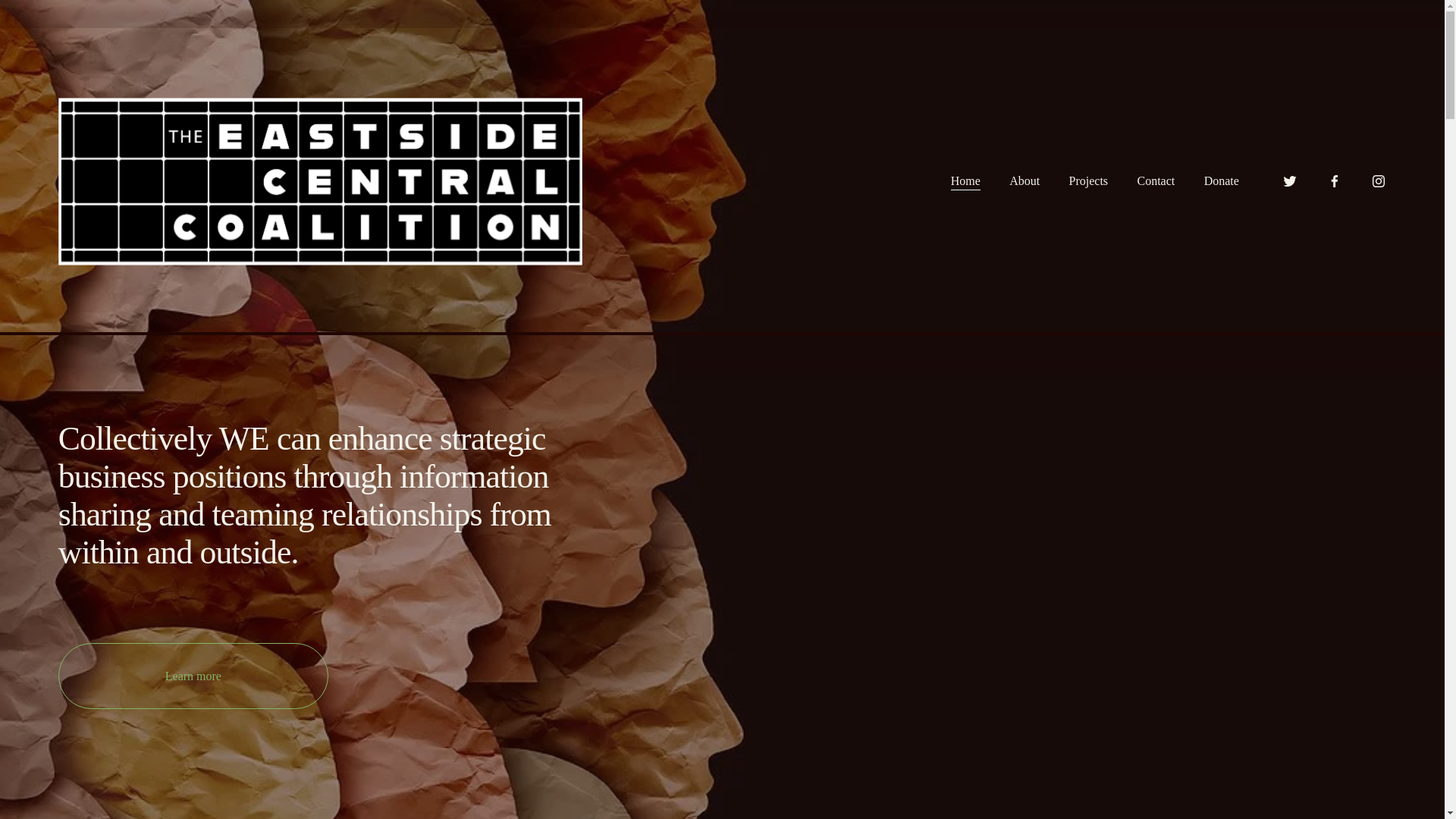 website screenshot of https://eastsidecentralcoalition.org/