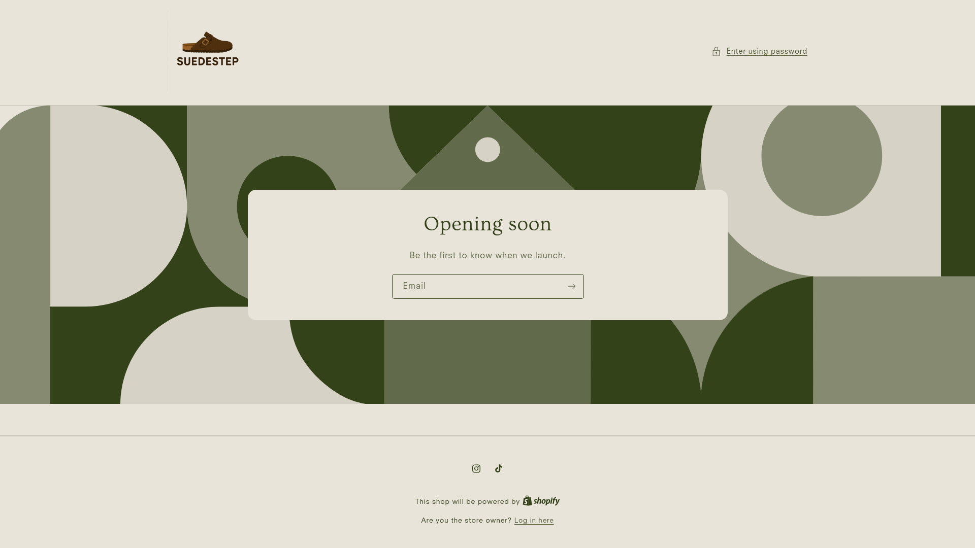 website screenshot of https://suedestep.com/
