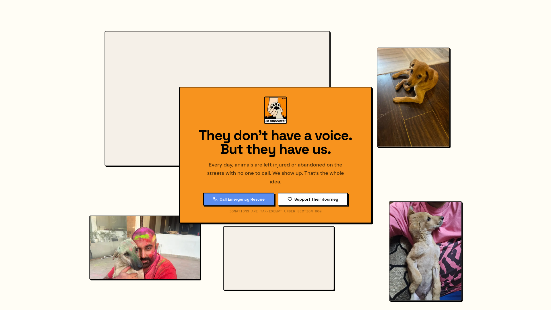 website screenshot of https://thebhauproject.com