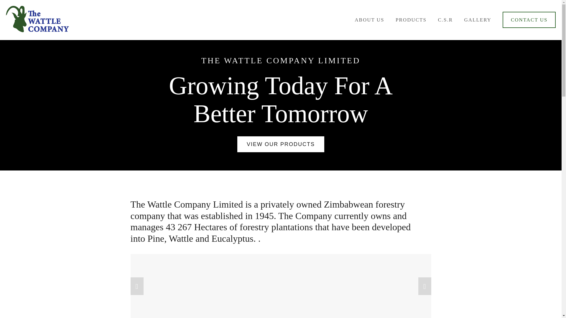 website screenshot of https://thewattlecompany.co.uk/