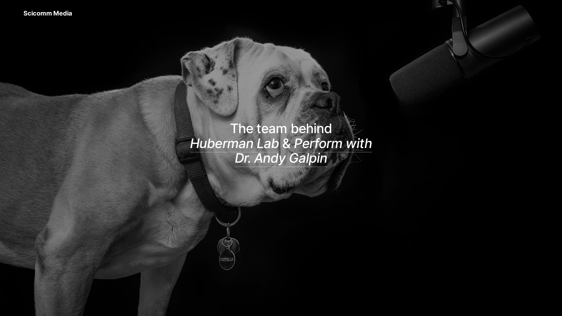website screenshot of https://scicomm-site.pages.dev/