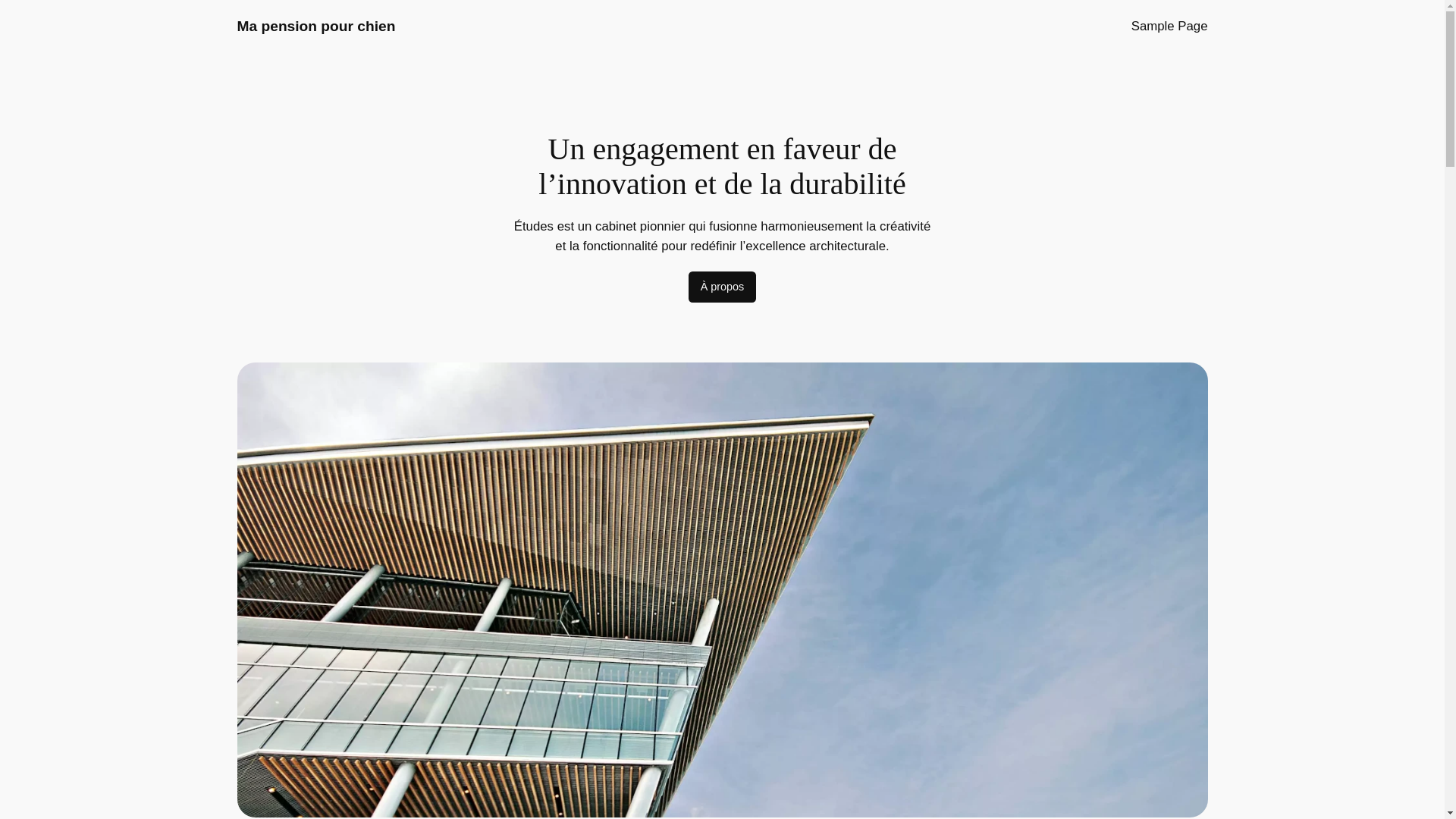 website screenshot of https://pensionschiens.fr/