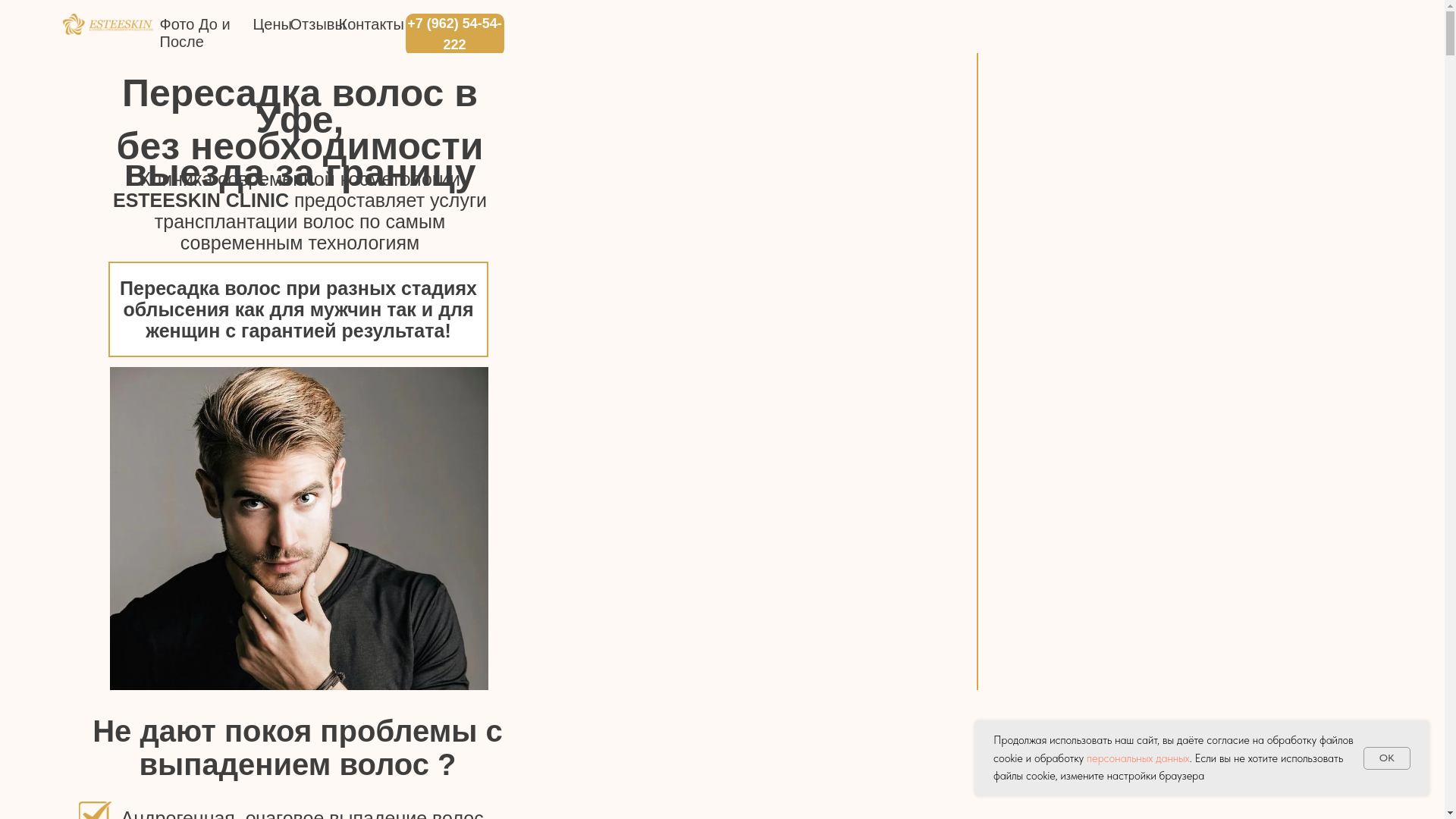 website screenshot of https://esteetranshair.ru/