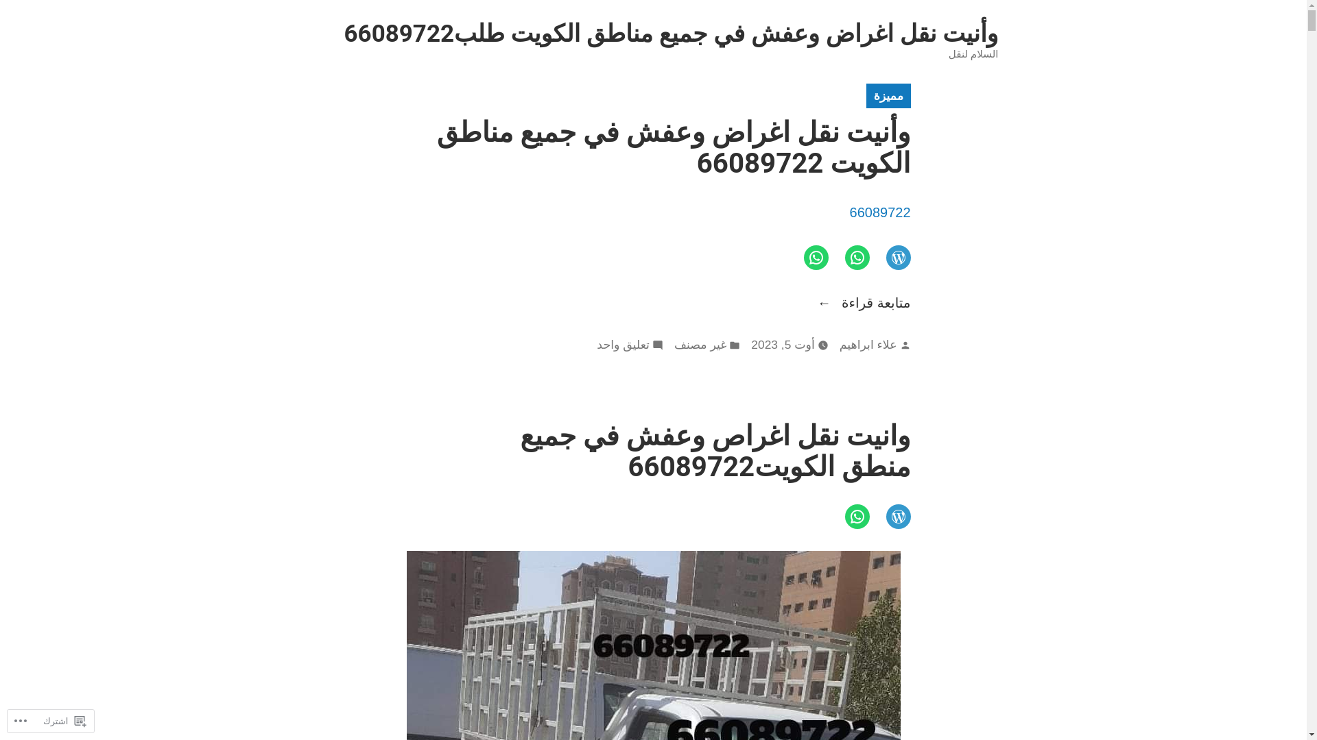 website screenshot of https://pickuptruckformovingitemsdeliverypickuptruck.reviews/