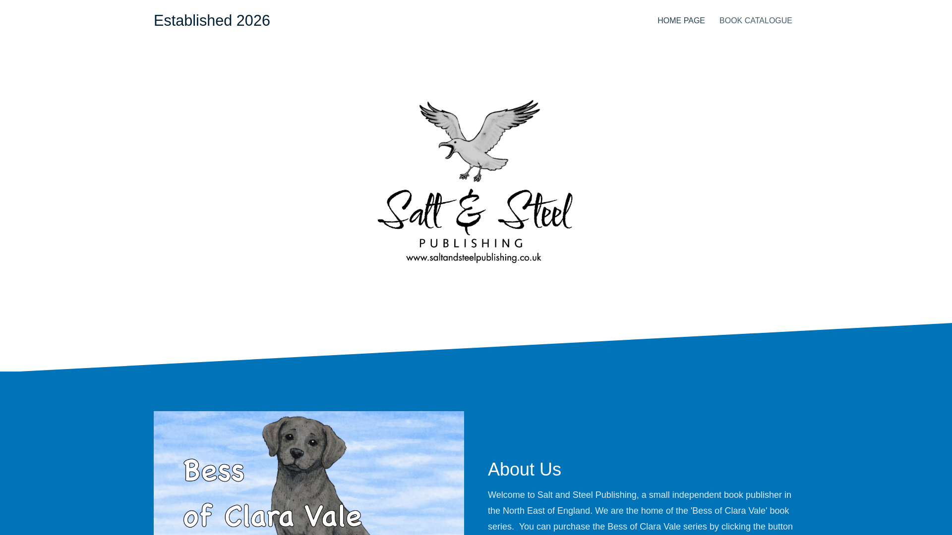 website screenshot of https://saltandsteelpublishing.co.uk