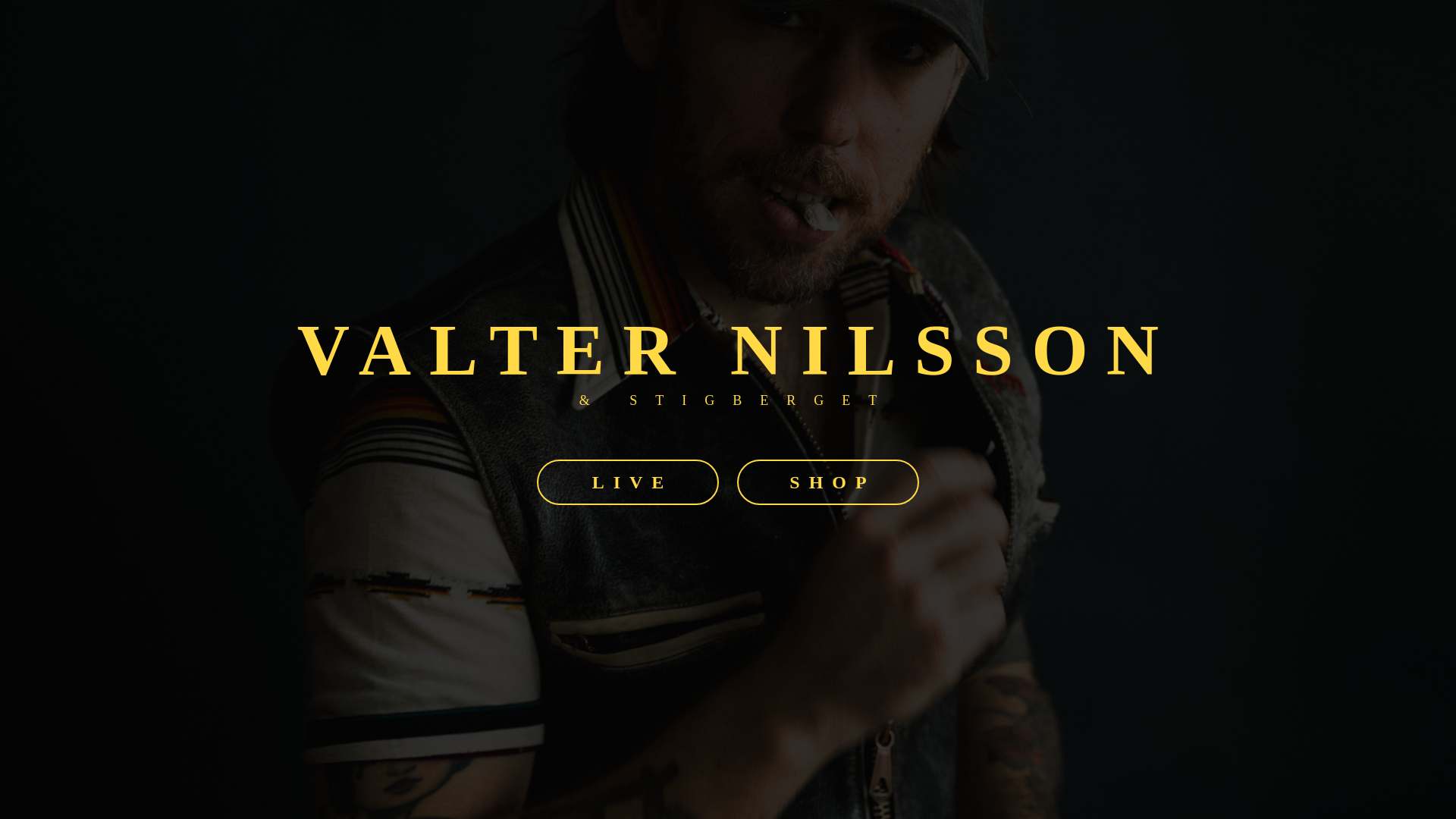 website screenshot of https://valternilsson.se/