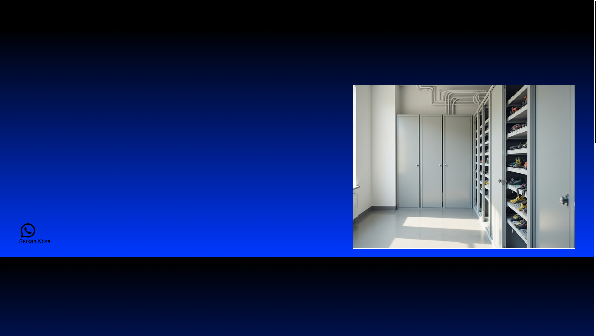 website screenshot of https://koseelektric.com/