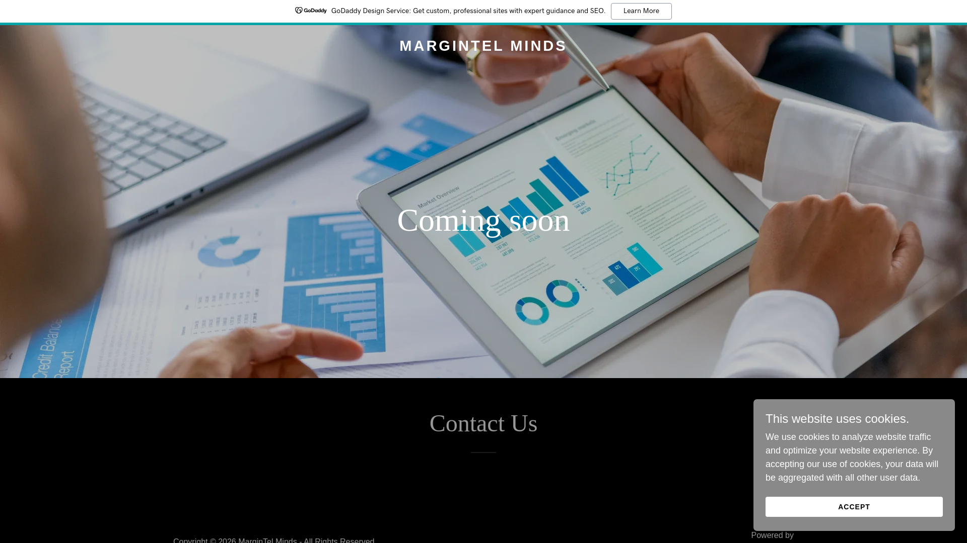 website screenshot of https://margintelminds.com