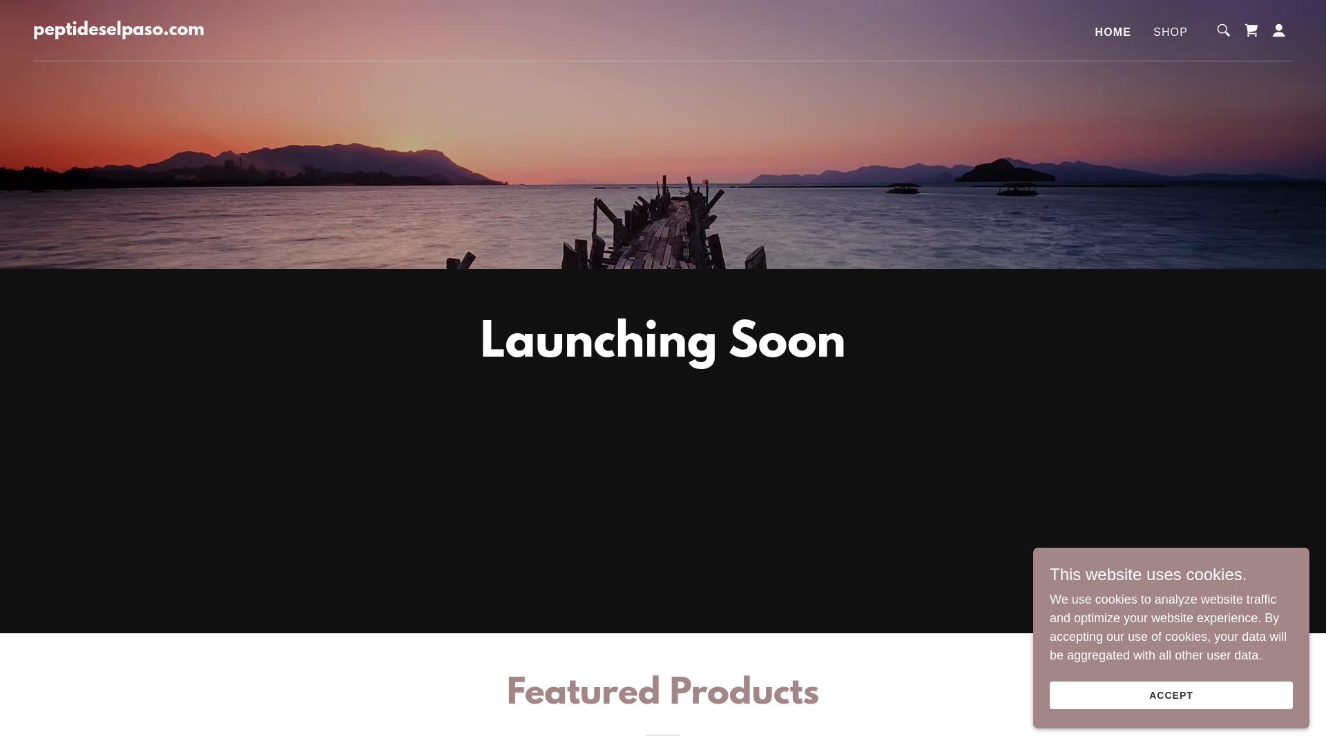website screenshot of https://peptideselpaso.com/