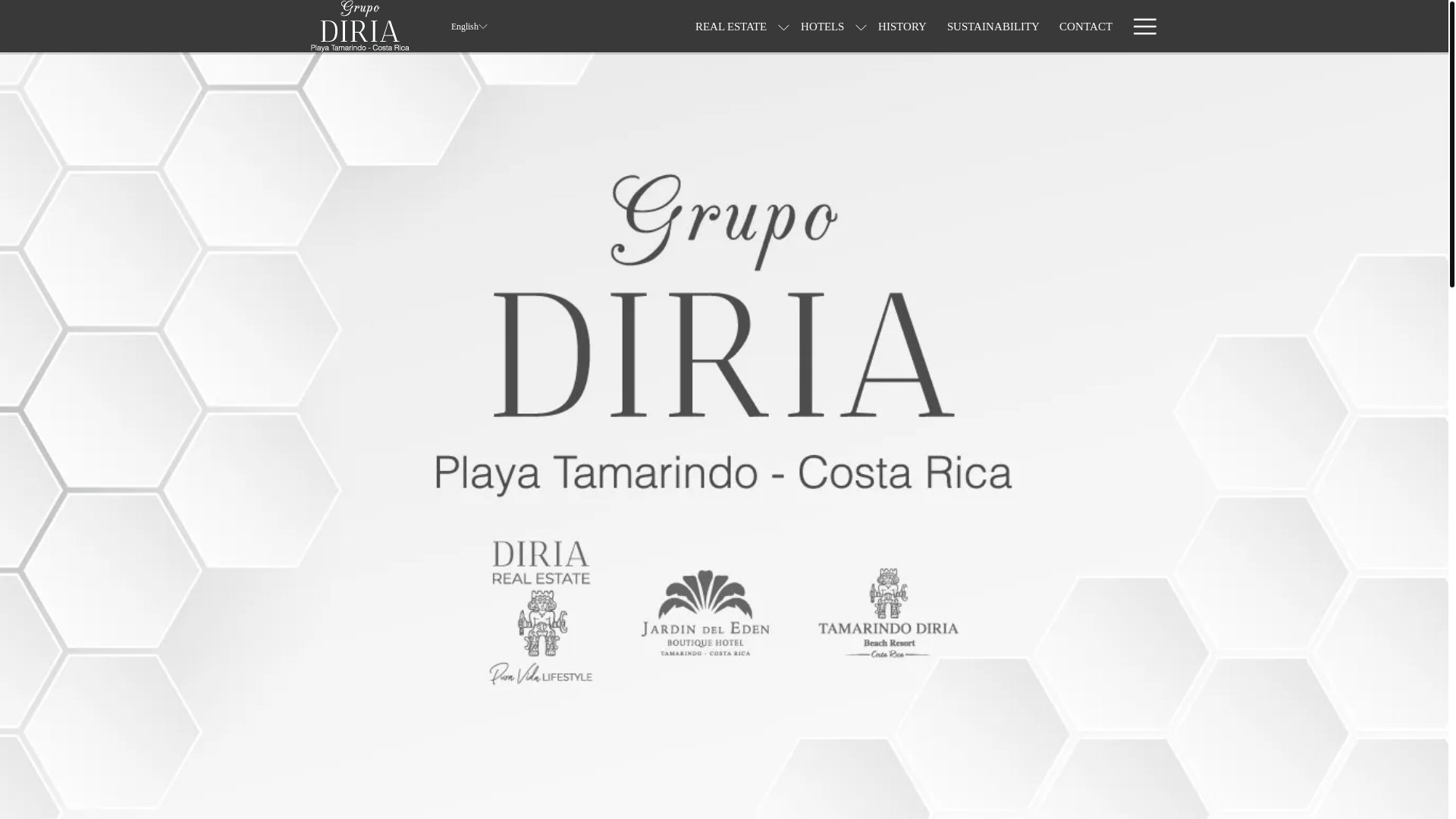 website screenshot of https://grupodiria.com/