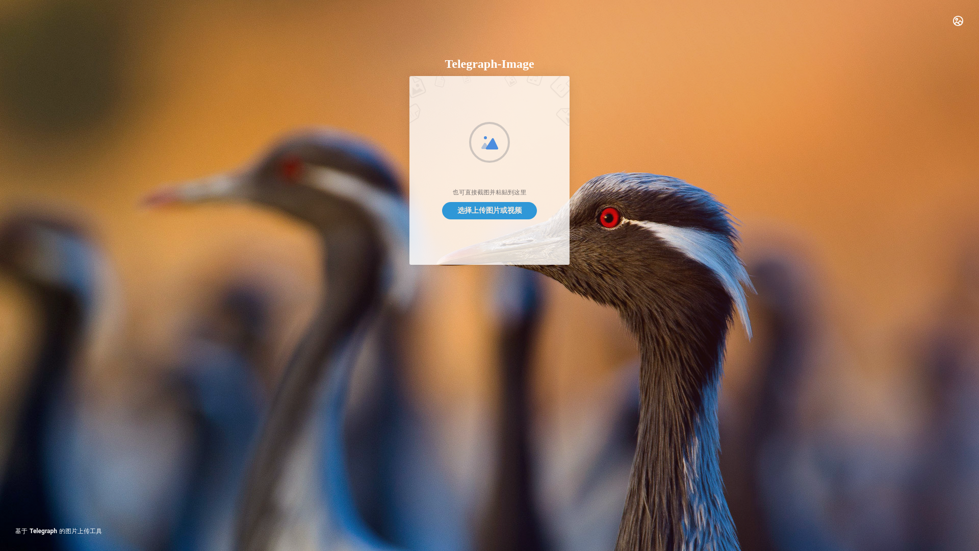 website screenshot of https://telegraph-image-bxs.pages.dev/