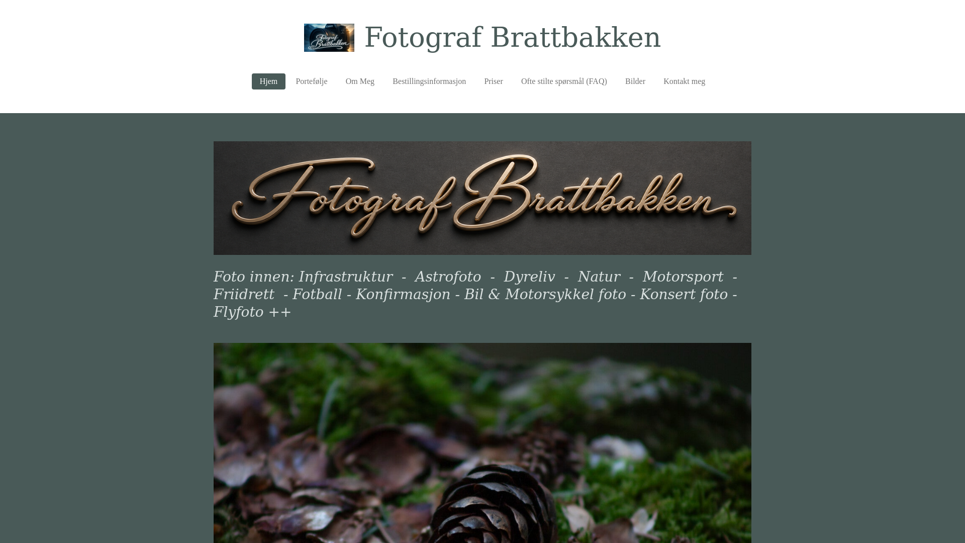 website screenshot of https://fotograf-brattbakken.net/