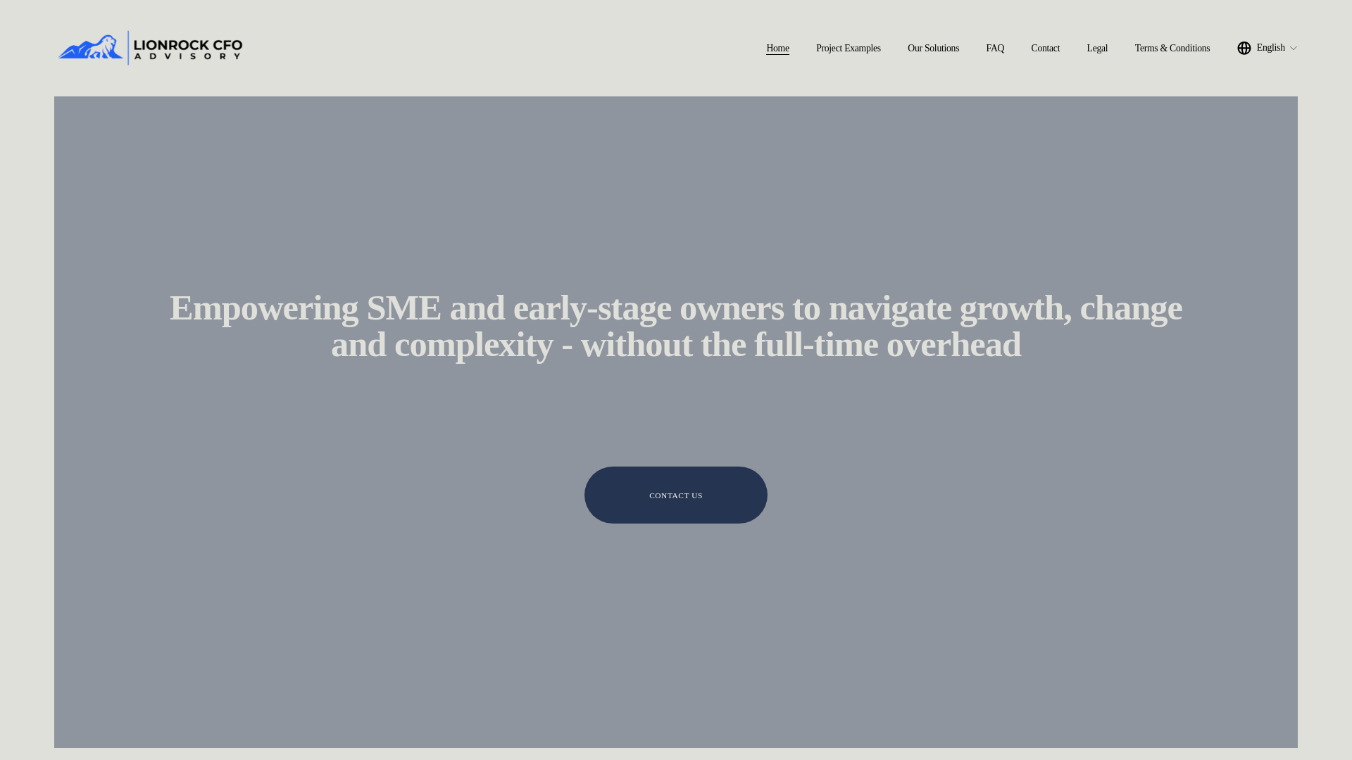 website screenshot of https://lionrockcfoadvisory.com/