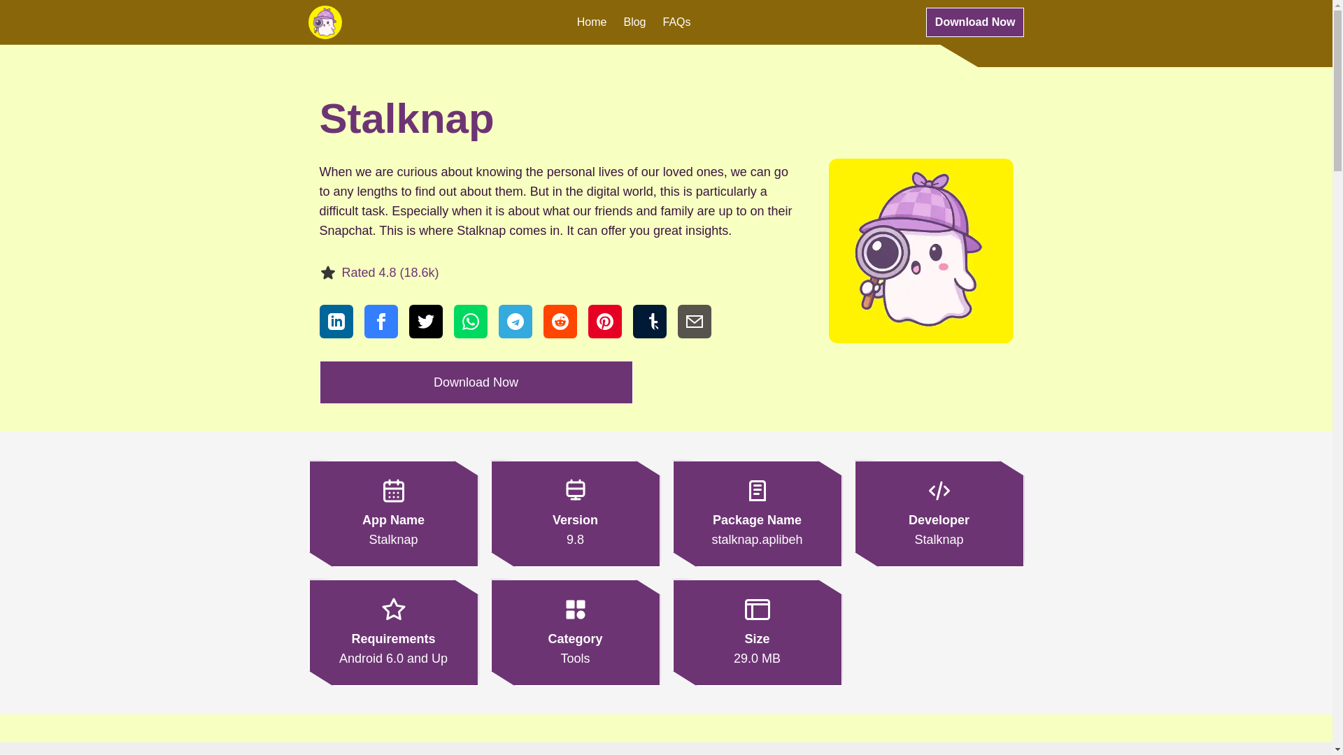 website screenshot of https://stalknap.net/
