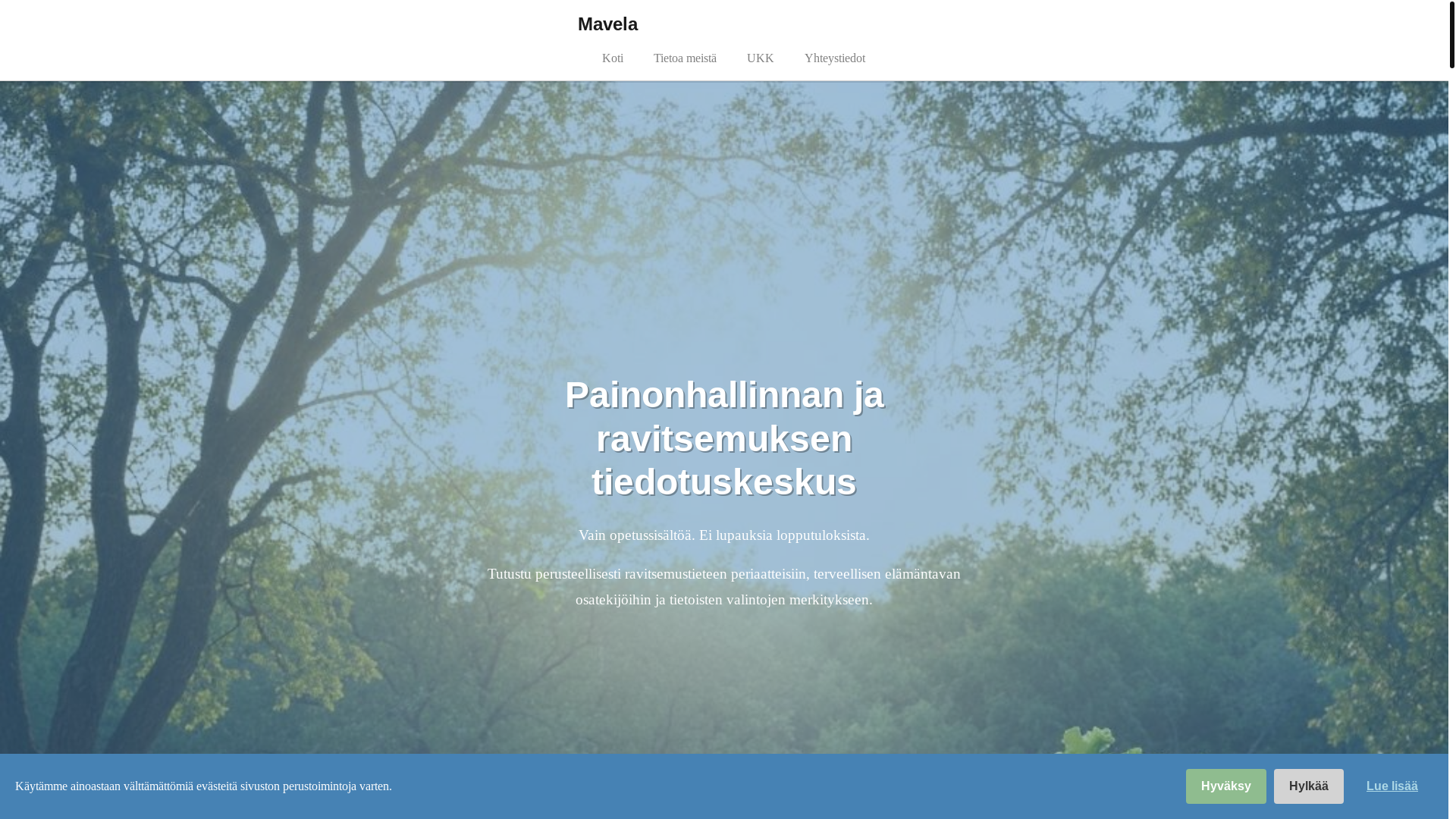 website screenshot of https://mavelaai.info/