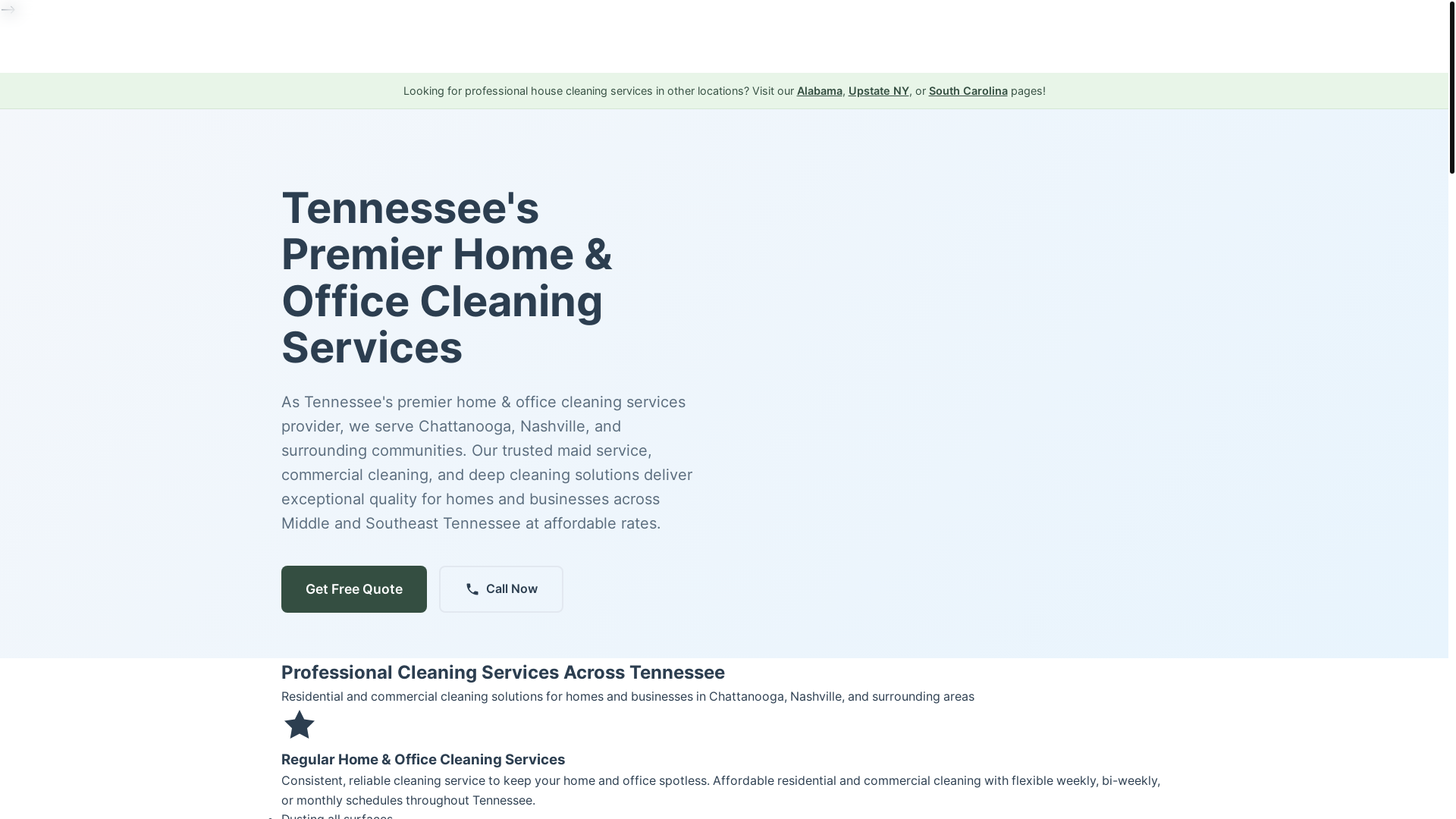 website screenshot of https://ezsoutherncleans.com/