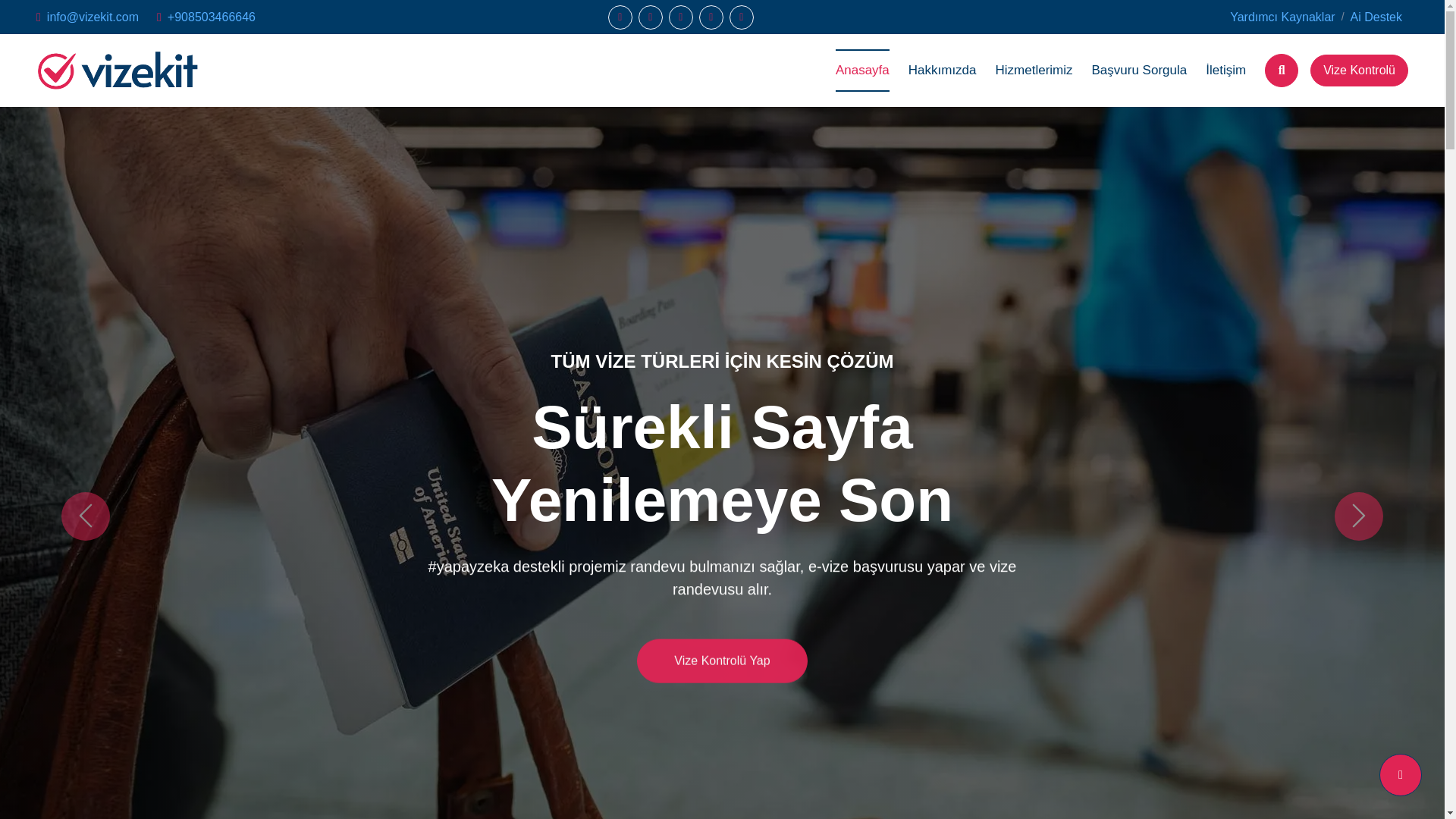 website screenshot of https://vizekit.com