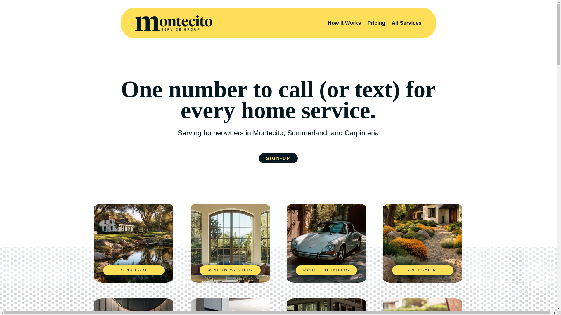 website screenshot of https://mntcito.com/