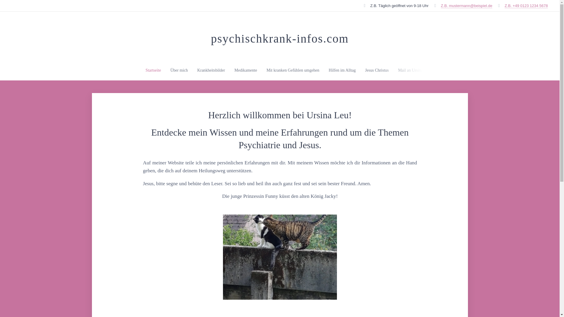 website screenshot of https://psychischkrank-infos.com/