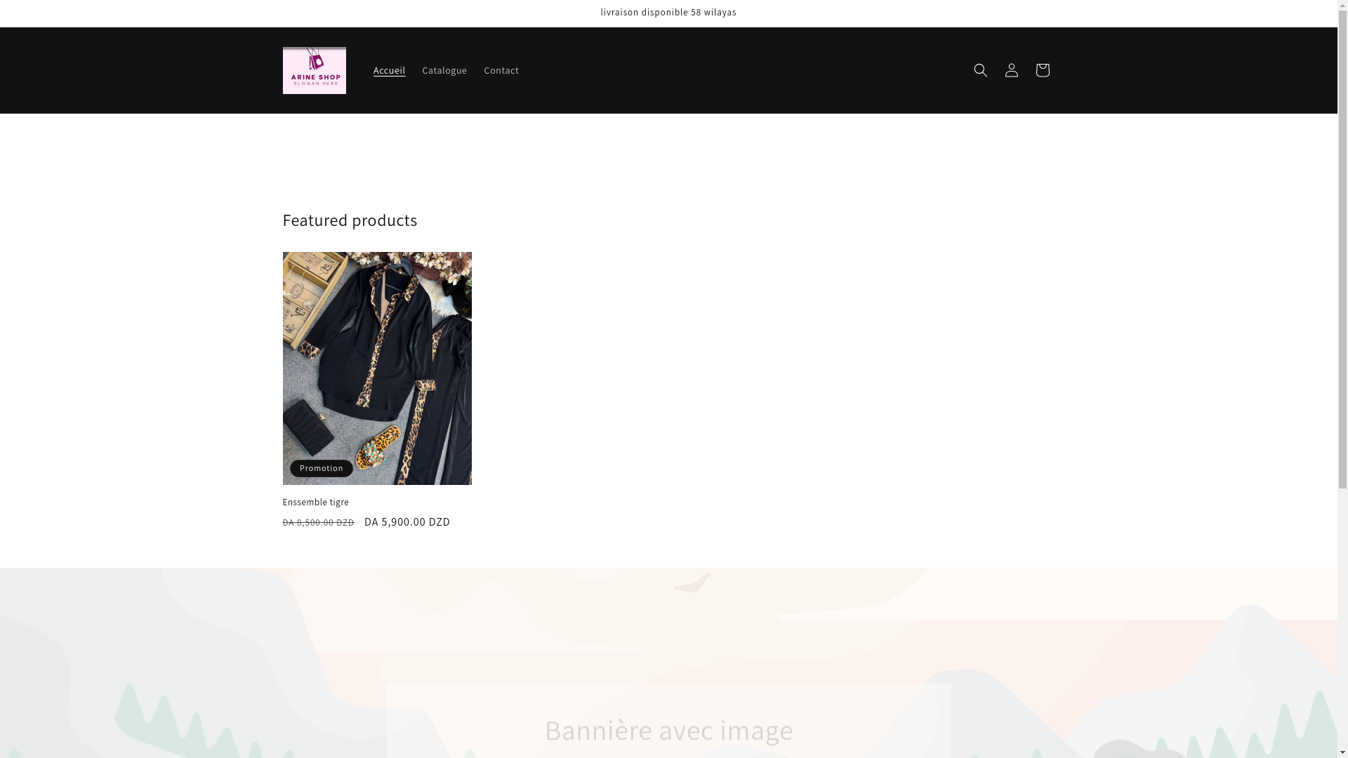 website screenshot of https://arineshop.net/