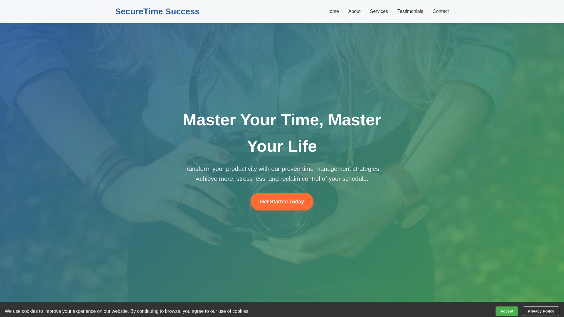 website screenshot of https://securetimesuccess.shop