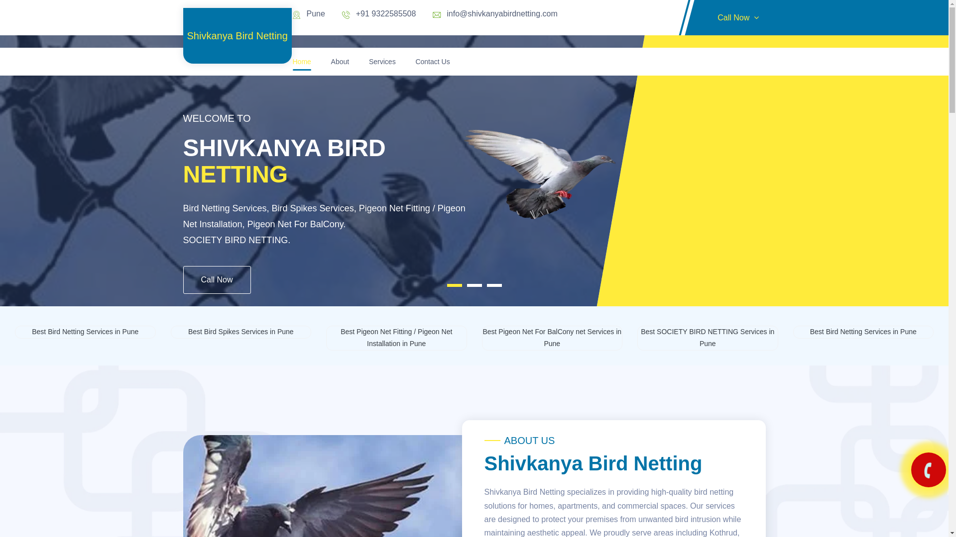 website screenshot of https://shivkanyabirdnetting.online/