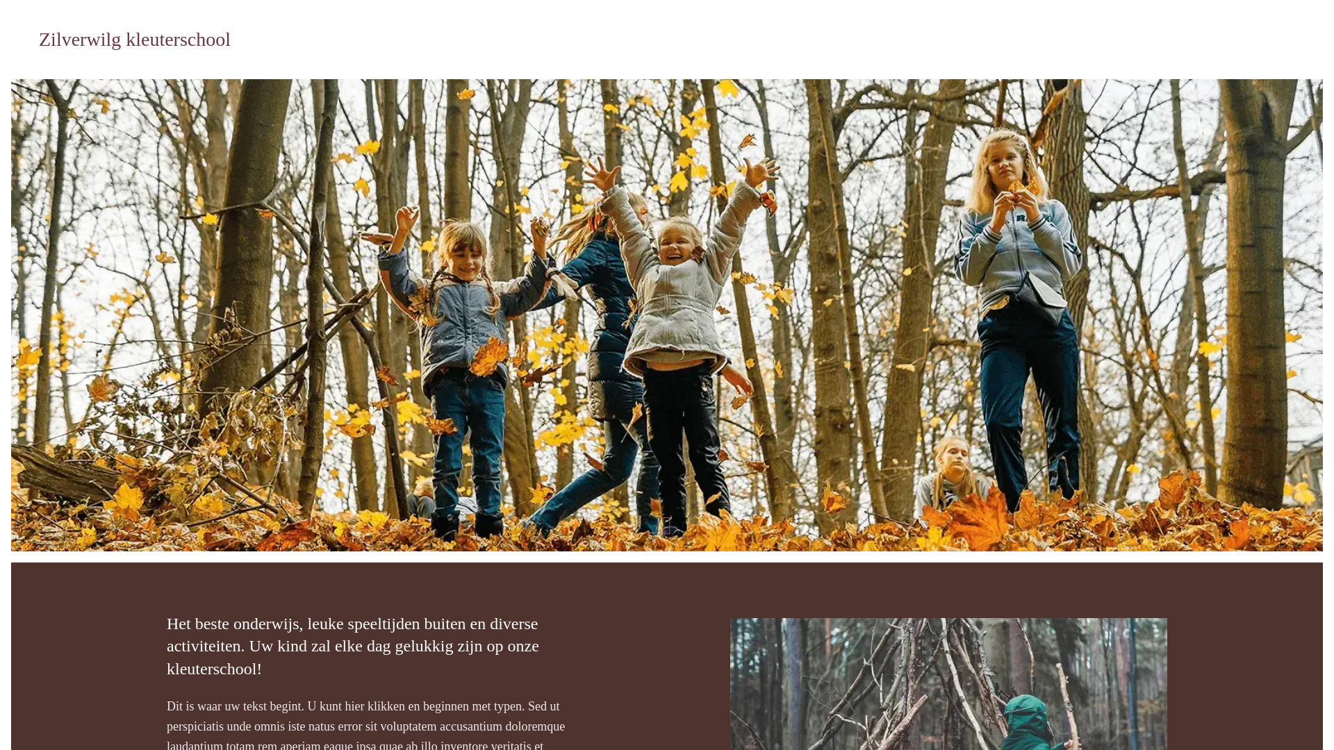 website screenshot of https://bindi-kinderyoga.nl/