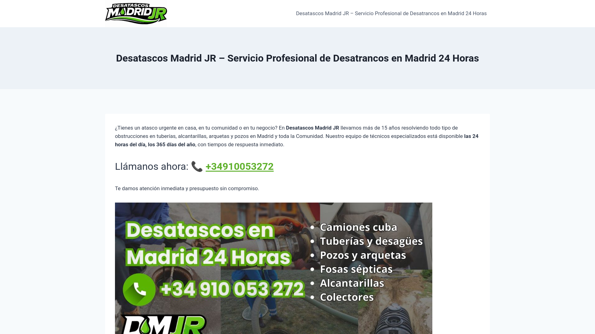 website screenshot of https://desatascosmadridjr.com