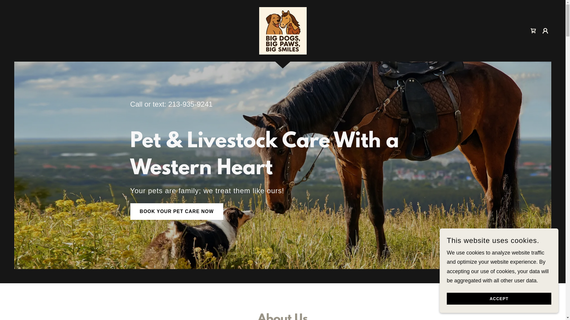 website screenshot of https://bigdogspawsmiles.com/