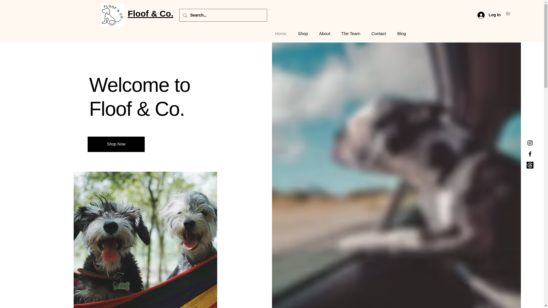 website screenshot of https://thefloofandco.com/
