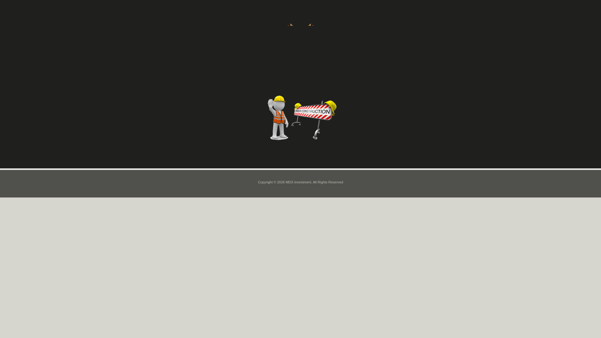 website screenshot of https://mds-investment.com/