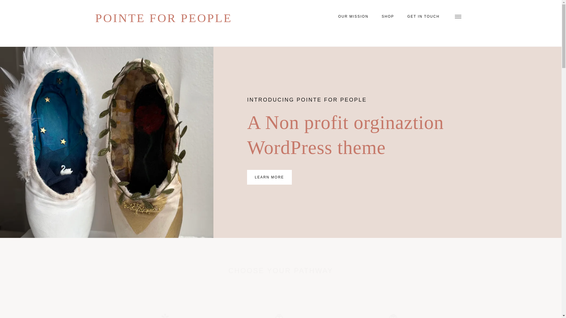 website screenshot of https://pointeforpeople.org/