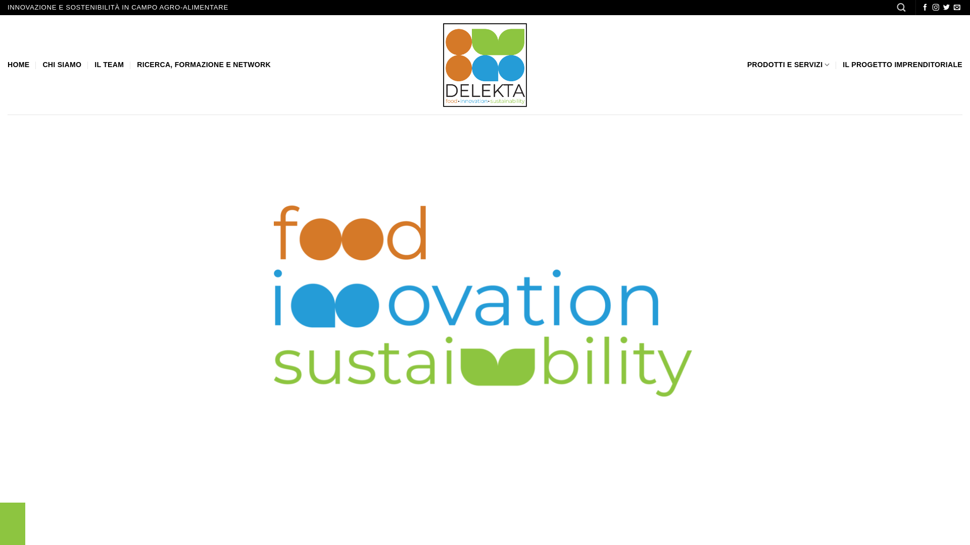 website screenshot of https://delekta.it/