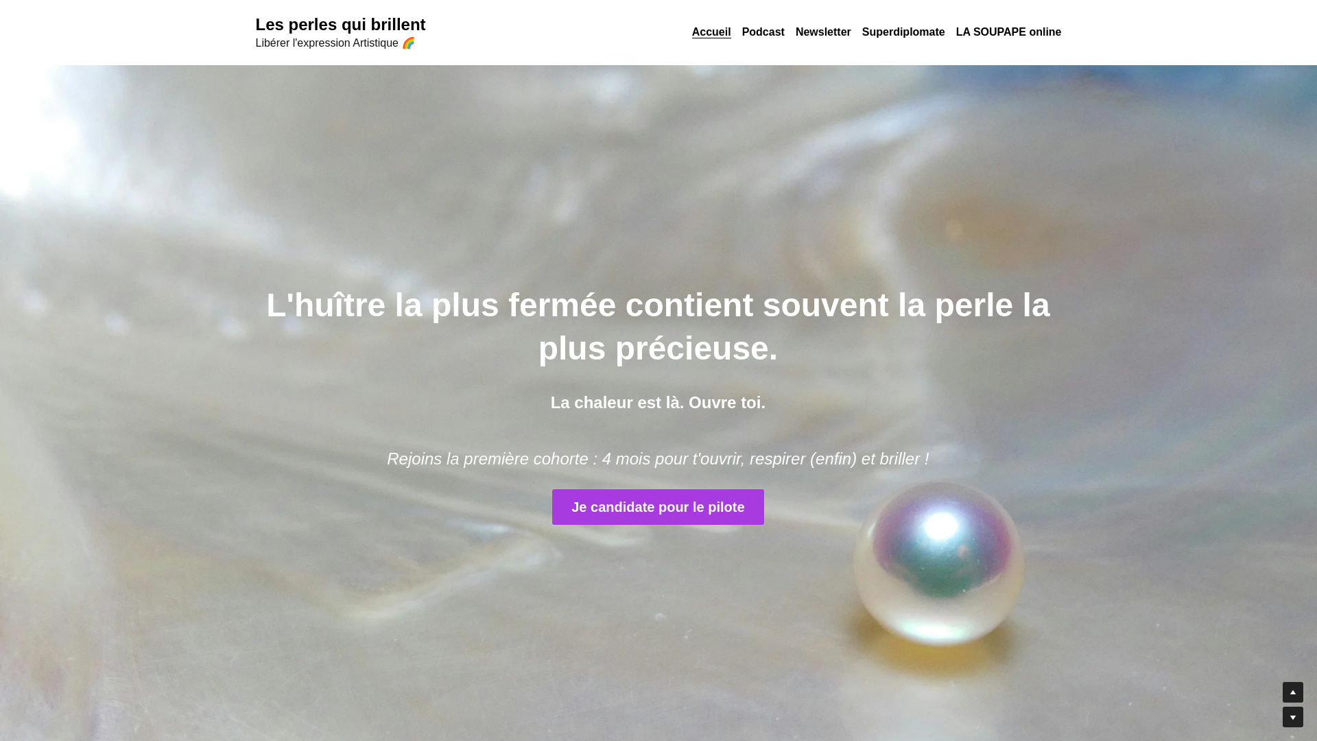 website screenshot of https://lesperlesquibrillent.com