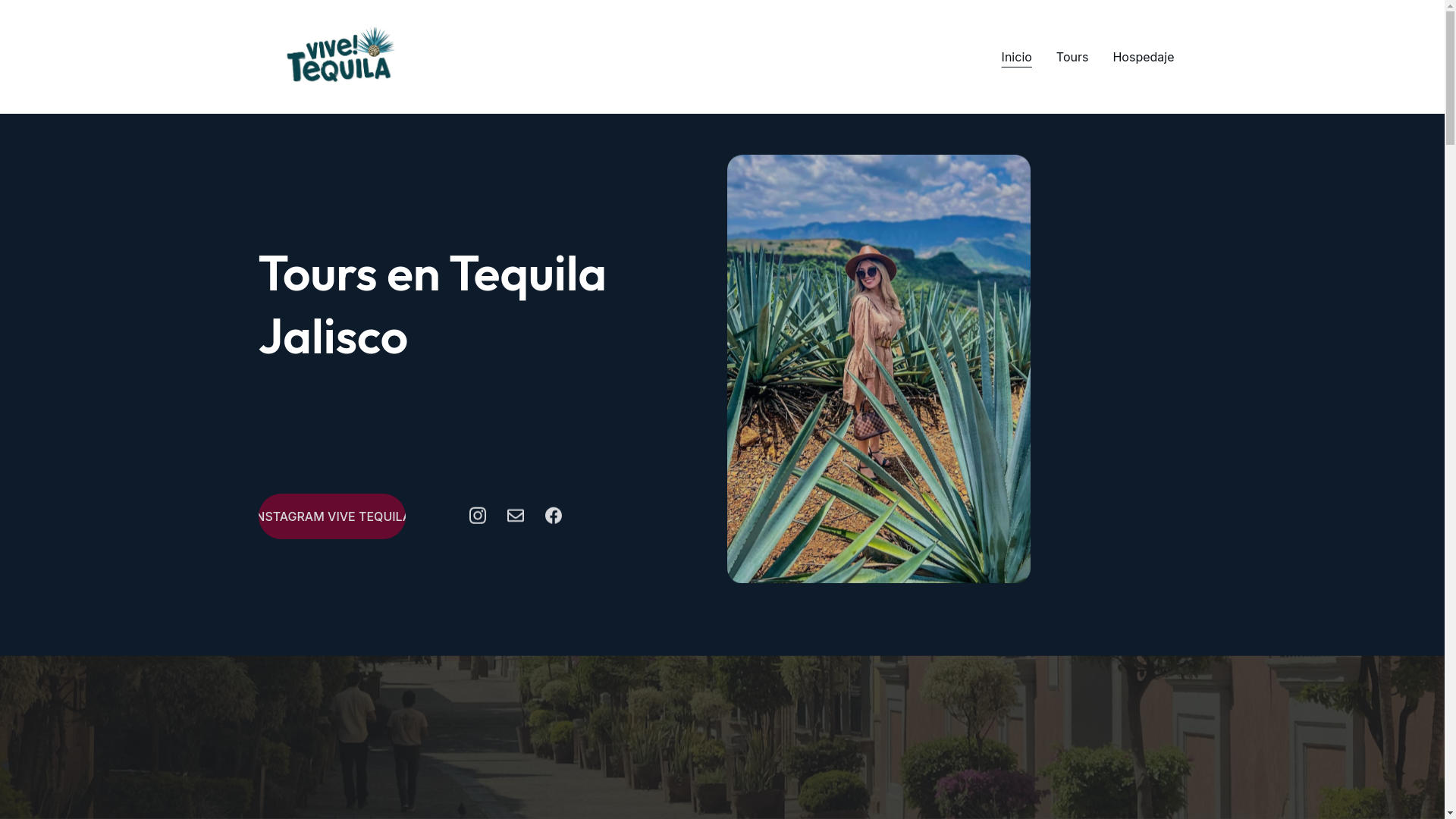 website screenshot of https://vivetequilatours.com/