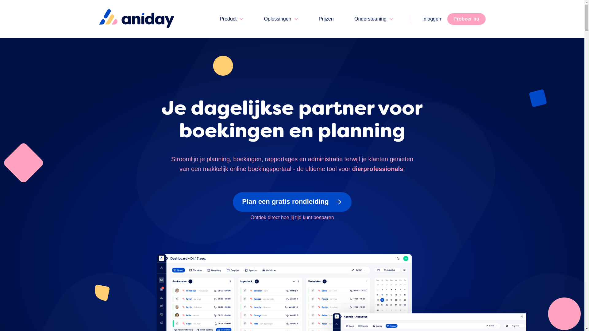 website screenshot of https://teamaniday.com/